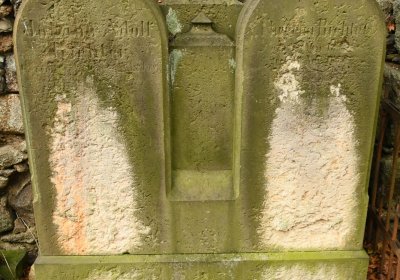 Mikulášovice, Omnium, 2020