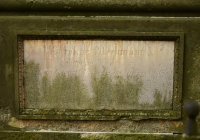 Mikulášovice, Omnium, 2020