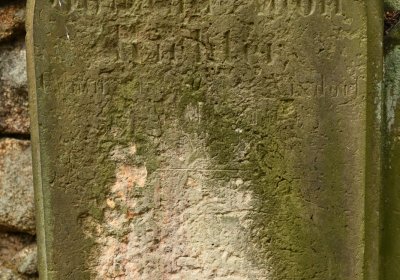 Mikulášovice, Omnium, 2020