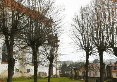 Mikulášovice, Omnium, 2020