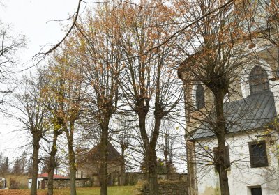 Mikulášovice, Omnium, 2020