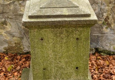 Mikulášovice, Omnium, 2020