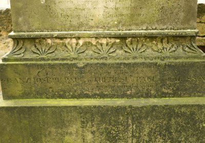 Mikulášovice, Omnium, 2020