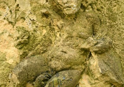 Mikulášovice, Omnium, 2020