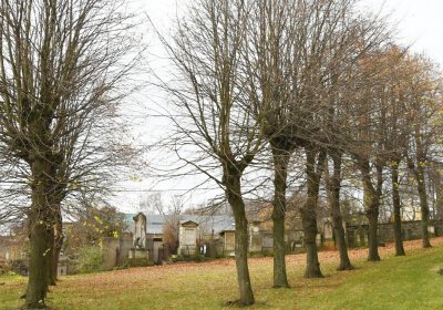 Mikulášovice, Omnium, 2020