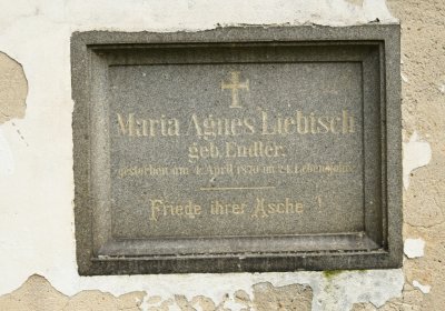 Mikulášovice, Omnium, 2020