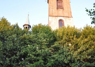 Mikulášovice, Omnium, 2020