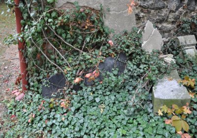 Vilémov u kostela, Omnium, 2020