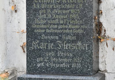 Vilémov u kostela, Omnium, 2020