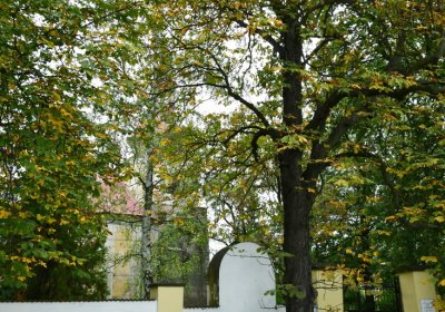 Vilémov u kostela, Omnium, 2020