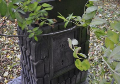 Ječovice u kostela, Omnium, 2020