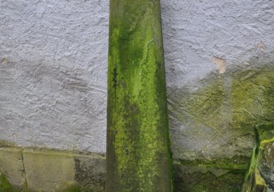 Ječovice u kostela, Omnium, 2020