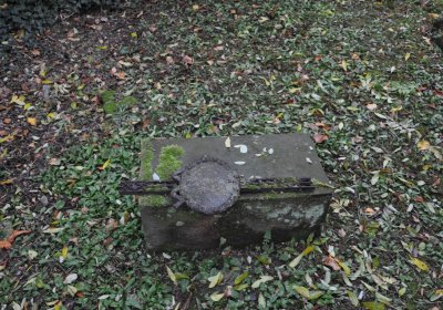 Ječovice u kostela, Omnium, 2020