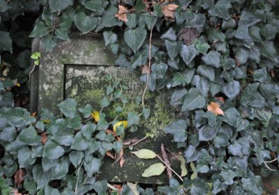 Ječovice u kostela, Omnium, 2020