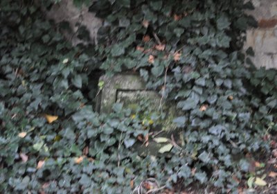 Ječovice u kostela, Omnium, 2020