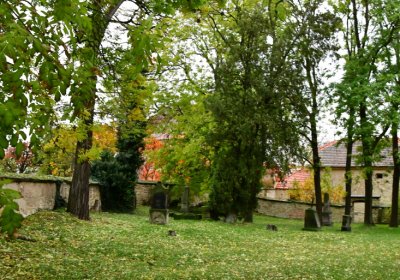 Ječovice u kostela, Omnium, 2020