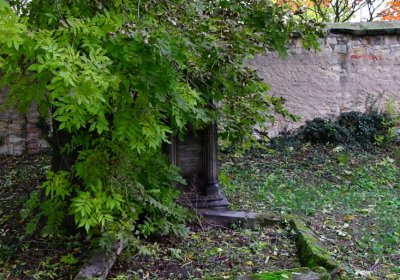 Ječovice u kostela, Omnium, 2020