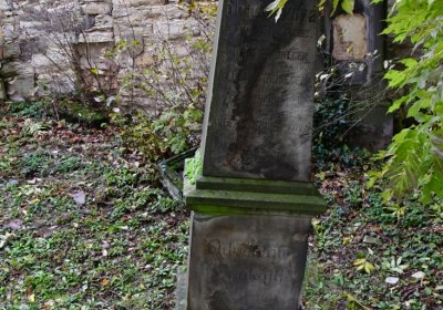 Ječovice u kostela, Omnium, 2020