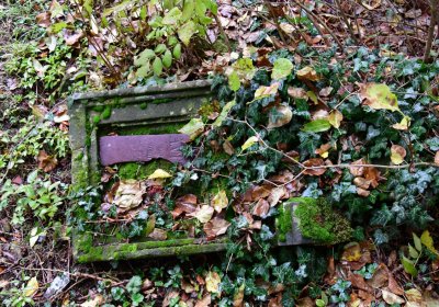 Ječovice u kostela, Omnium, 2020