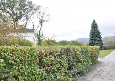 Přestanov ruský památník 1813, Omnium, 2020