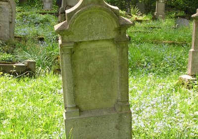 Pulkrtová Eva, 2009