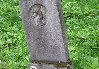 Pulkrtová Eva, 2009