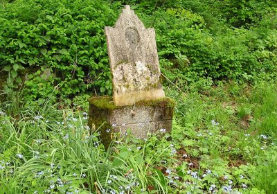 Pulkrtová Eva, 2009