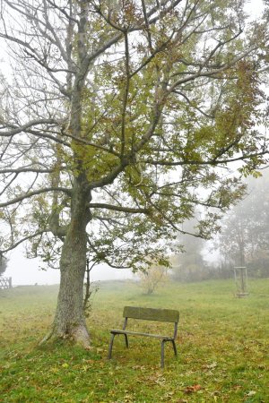 Hora Svaté Kateřiny