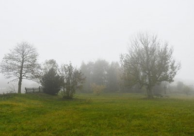 Hora Svaté Kateřiny, Omnium, 2020