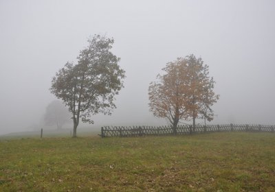 Hora Svaté Kateřiny, Omnium, 2020