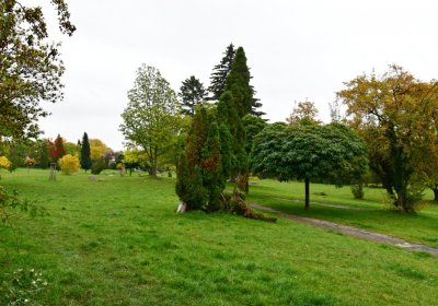 Horní Litvínov - Pietní park, Omnium, 2020