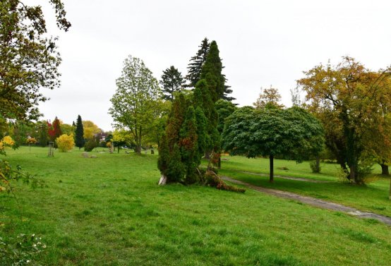 Horní Litvínov - Pietní park, Omnium, 2020