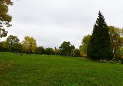 Horní Litvínov - Pietní park, Omnium, 2020