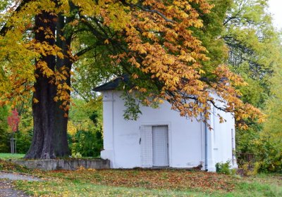 Horní Litvínov - Pietní park, Omnium, 2020