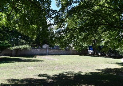 Lovosice židovský, Omnium, 2020