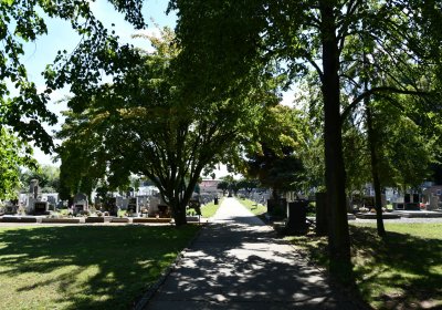 Lovosice židovský, Omnium, 2020