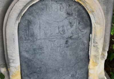 Dobroměřice u kostela, Omnium, 2020