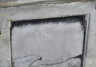 Dobroměřice u kostela, Omnium, 2020