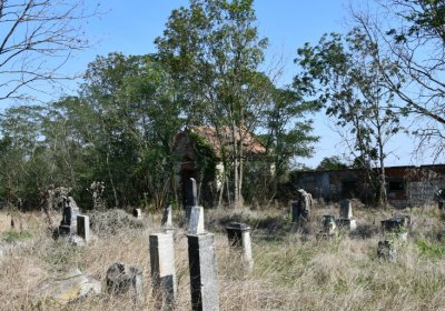 Hradiště, Omnium, 2020