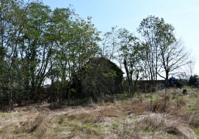 Hradiště, Omnium, 2020