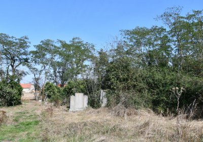 Hradiště, Omnium, 2020