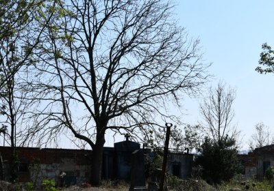 Hradiště, Omnium, 2020