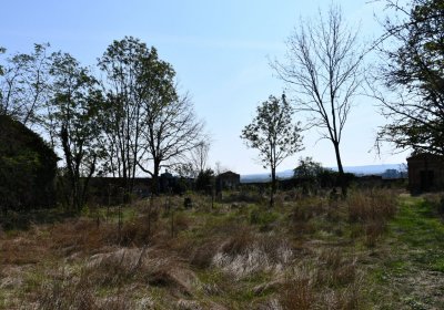 Hradiště, Omnium, 2020