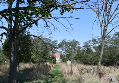 Hradiště, Omnium, 2020