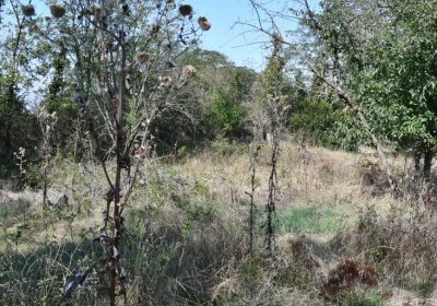 Hradiště, Omnium, 2020