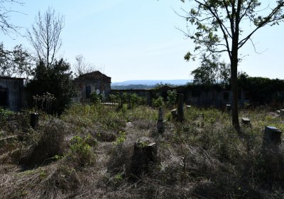 Hradiště, Omnium, 2020