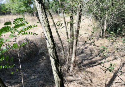 Hradiště, Omnium, 2020