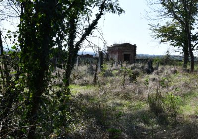 Hradiště, Omnium, 2020