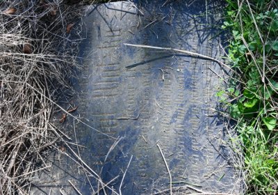 Hradiště, Omnium, 2020