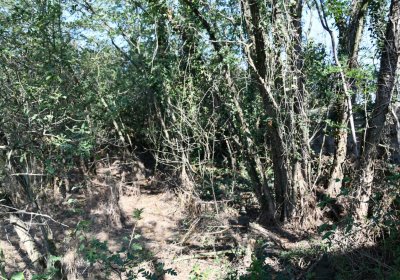 Hradiště, Omnium, 2020